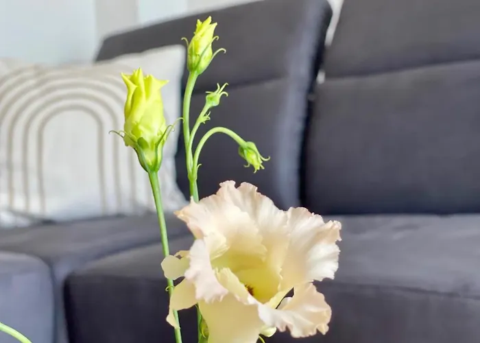 Casa vacanze Blick 20 - Diemelsee